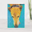 Search for greyhound cards Humour