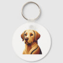Search for labrador key rings Animal
