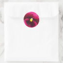Search for pretty pansy stickers Floral