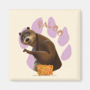 Search for mentor magnets Baloo the bear