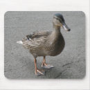 Search for quack mouse mats Animals