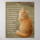 Search for kitten poem Cute