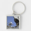 Search for assisting key rings Aircraft