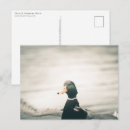 Search for dabble postcards Drake