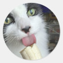 Search for cat litter stickers Pets