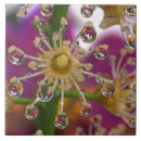 Search for macro tiles Garden