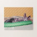 Search for russian blue cat puzzles Animal