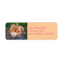 Search for sunset return address labels Pink