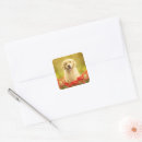 Search for golden flowers stickers Dog