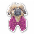 Search for shih tzu puppy stickers Pet lovers