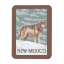 Search for grey wolf magnets Original