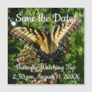 Search for swallowtail invitations Nature