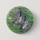 Search for bird family badges Gosling