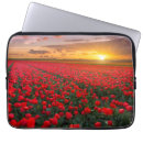 Search for springtime electronics Rural scene