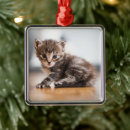 Search for tiny christmas tree decorations Pet