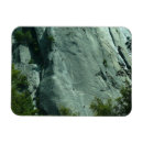 Search for climber magnets Nature