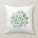 Search for succulent cushions Pastel