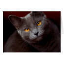 Search for “cat note cards Grey cat