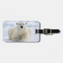 Search for polar bear luggage tags Carnivore