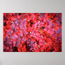 Search for autumn background posters Bright