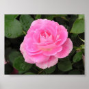 Search for bushes art Shrubs