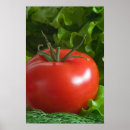 Search for ripe vegetables posters Fresh