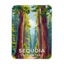 Search for sequoia magnets California
