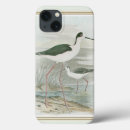 Search for swamp electronics Nature