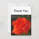 Search for beautiful rose cards Flower