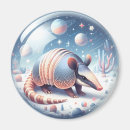 Search for armadillo magnets Illustration