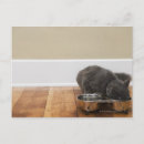 Search for active horizontal postcards Activity