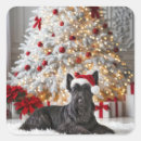 Search for scottish terrier stickers Black