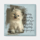 Search for ragdoll magnets Fluffy