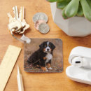 Search for bernese mountain dog key rings Animal