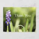Search for grape photography Floral