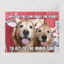 Search for funny cow jokes postcards Humour