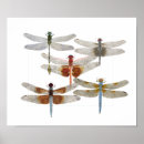 Search for damselfly art posters Watercolor