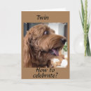 Search for pup cards invites Photography