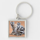 Search for lemur key rings Animals