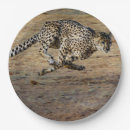 Search for african animal plates Wildlife