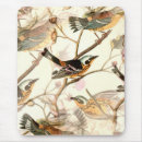 Search for flocking electronics Birds in flight