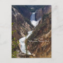 Search for lower fall vertical postcards National park