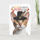 Search for funny day thanksgiving cards Autumn