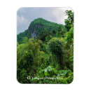 Search for lush magnets Landscape