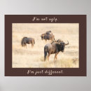 Search for kalahari art Kgalagadi transfrontier park