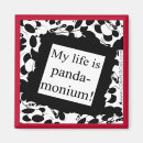Search for panda magnets Friendship