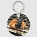 Search for cuties key rings Kitten