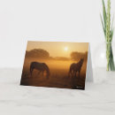 Search for mists cards Animal