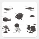 Search for ocean life stickers Black