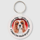 Search for spaniel key rings Dog lover